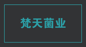 食品行业吉林冲锋衣设计款式